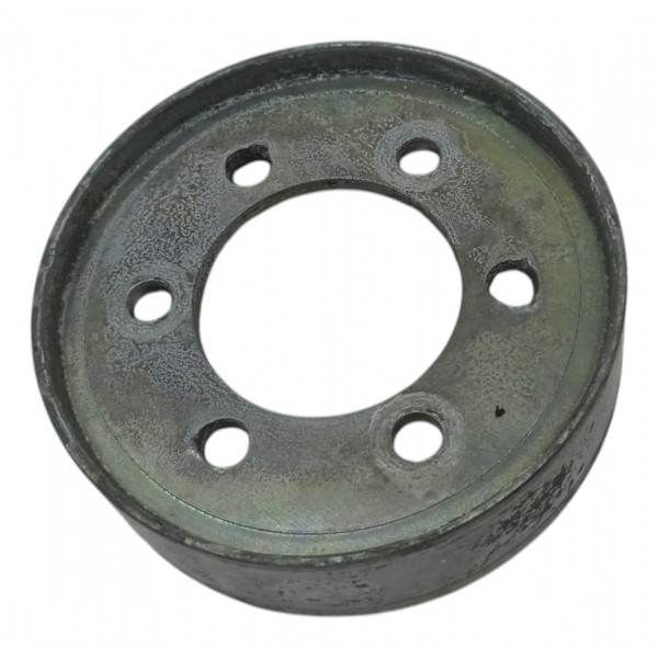 Polia Bomba Água Renault Scenic 2.0 1999 2000 2001 2002 2003