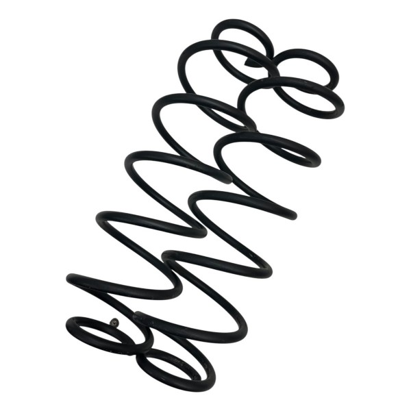 Par Mola Tras Citroen C3 2007 2008 2009 2010 2011 2012