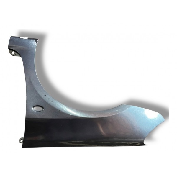 Paralama Diant Esq Peugeot 307 1.6 2002 2003 2004 2005 2006