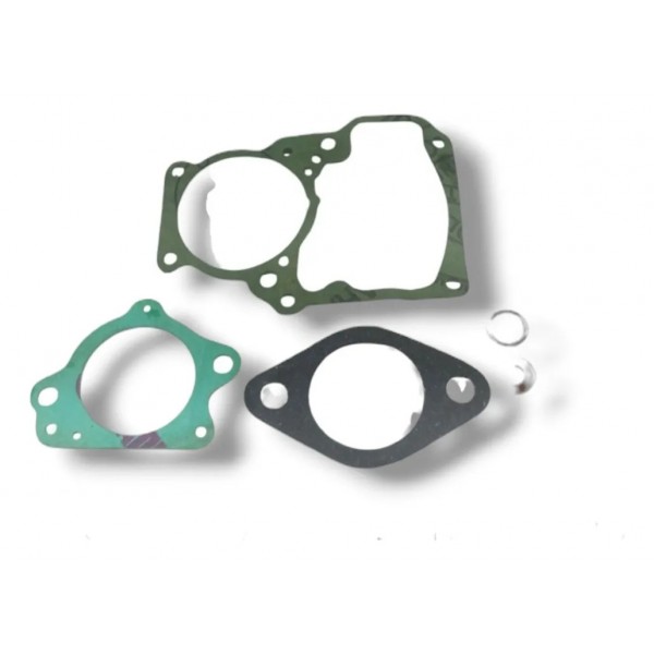 Jogo Junta Carburador Weber Dfv 220 Ford Corcel 1.4
